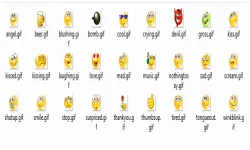 Plugin Image