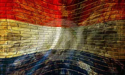 Plugin Image